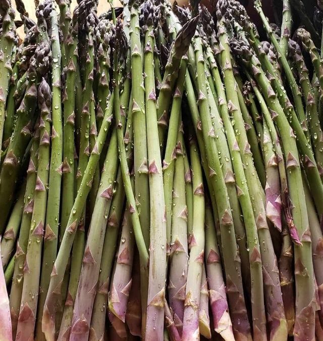 How to grow asparagus