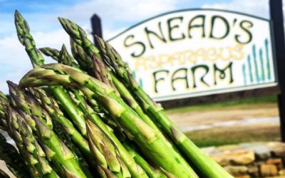Asparagus sales every Saturday