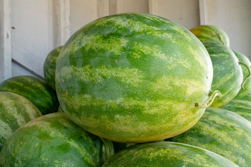 CSA Week 15: What’s in the box?