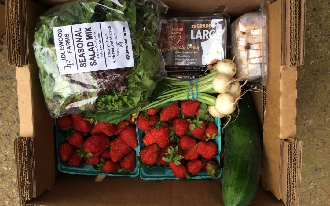 CSA Week 2: May 17 and 19, 2021