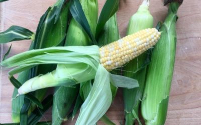 Sweet corn is here!