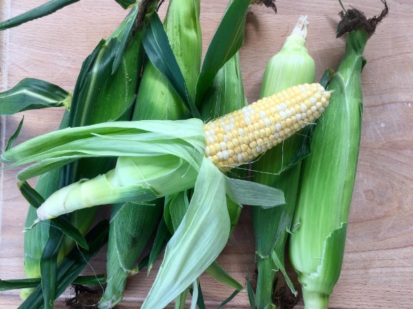 Sweet corn is here!