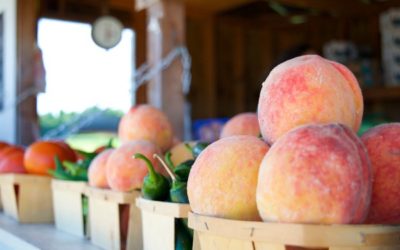 At the stand: Aug. 27, 2021