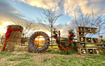 Virginia Outdoors Foundation features Snead’s Farm