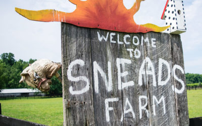 Snead’s Farm Monthly CSA Shares: Frequently Asked Questions