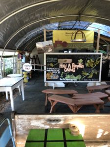 Snead's Farm school groups