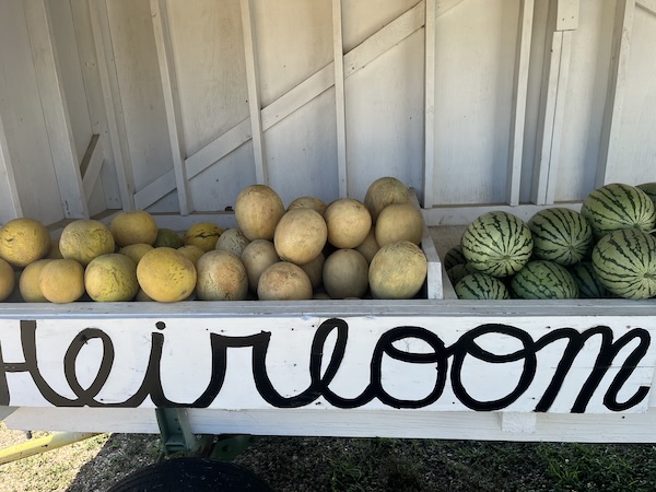 Heirloom melons