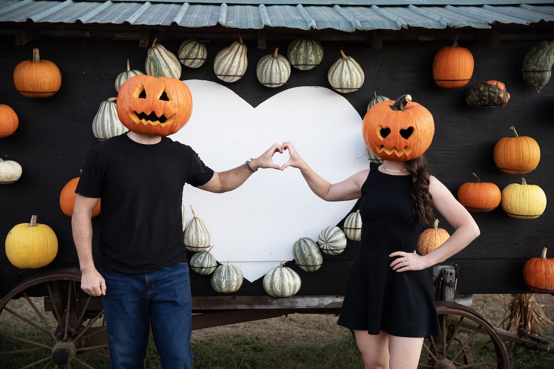 pumpkin love