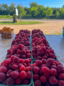 Snead's Farm raspberries