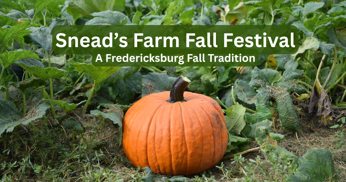 Snead's Farm Fall Festival